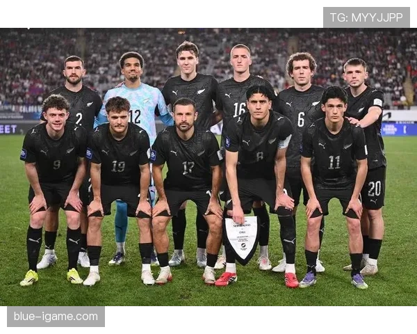 波黑队能否重返2026世界杯？晋级前景与阵容分析